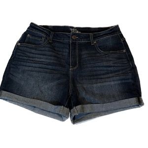 Time and Tru Women’s Size 14 Denim Jean Shorts